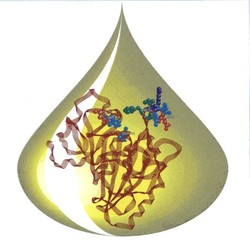 Manufacturers Exporters and Wholesale Suppliers of Immobilised Esterase Enzyme Bhiwandi Maharashtra